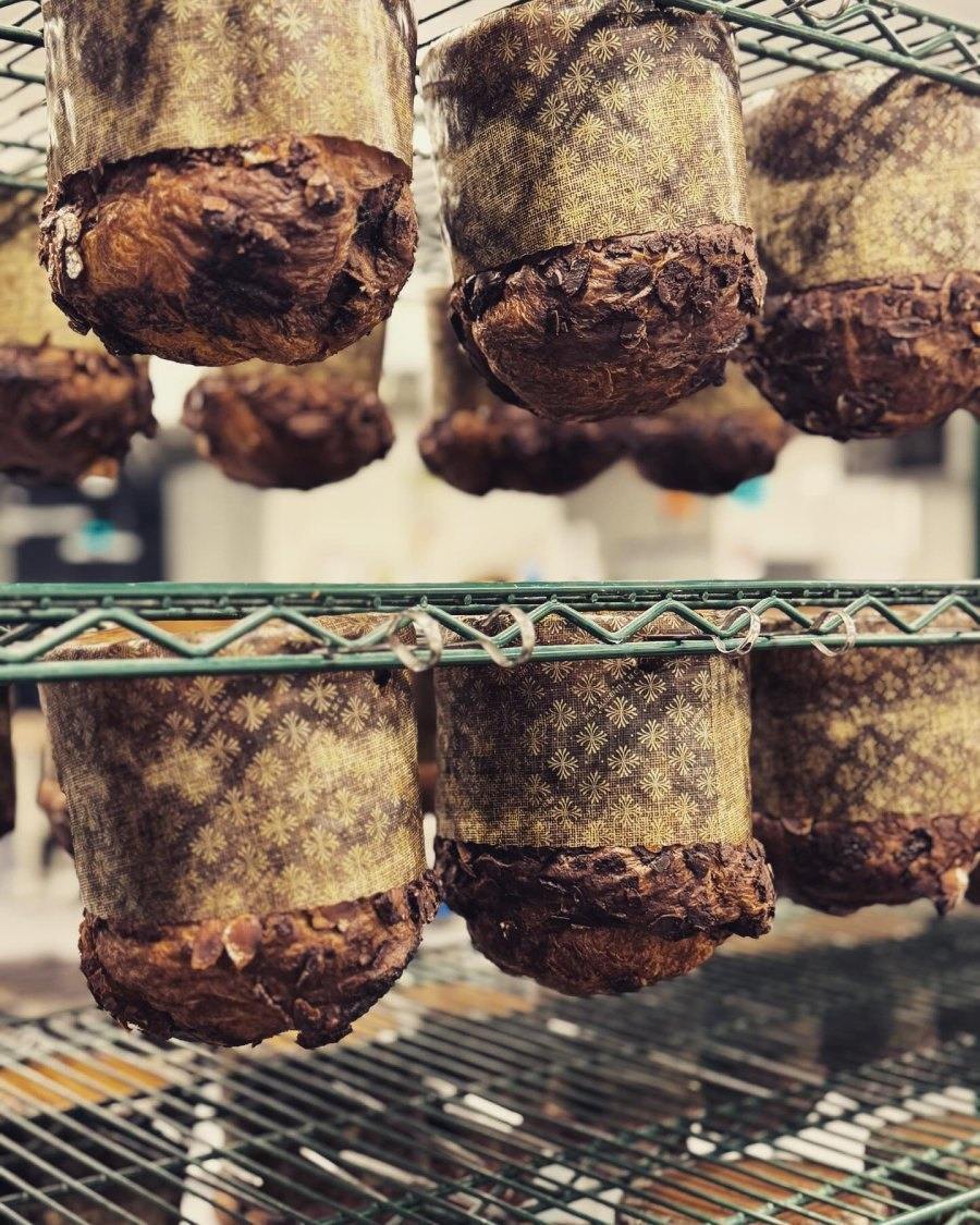 Panettone Pandoro Montréal