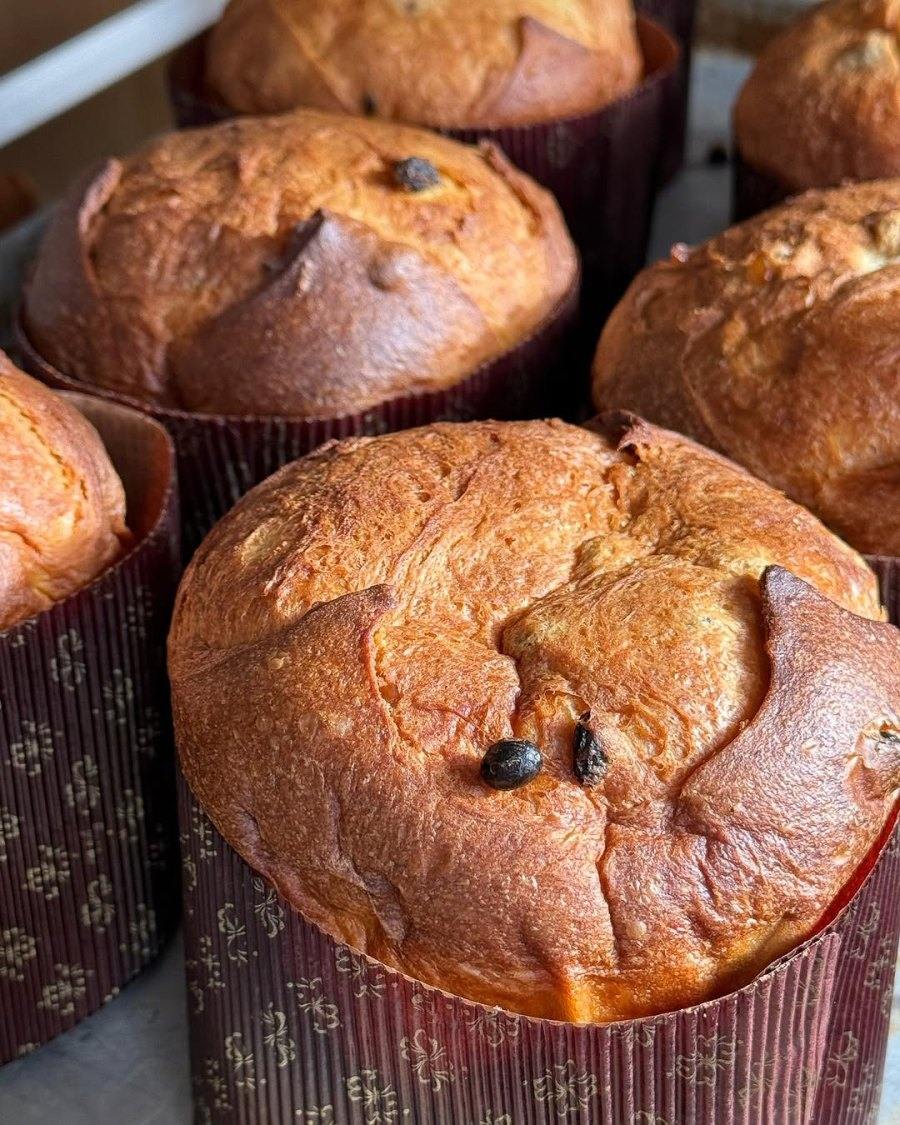 Panettone Pandoro Montréal