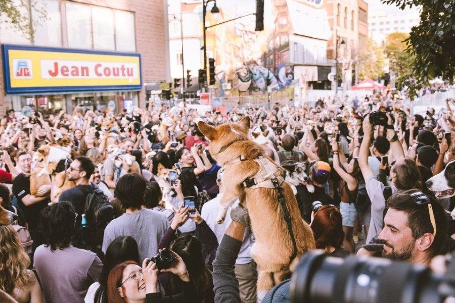 Festival BLVD 2024