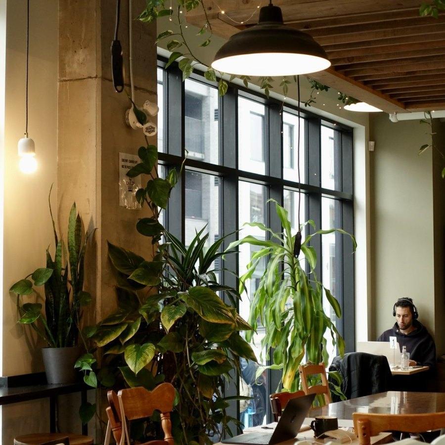 Cafés Montréal