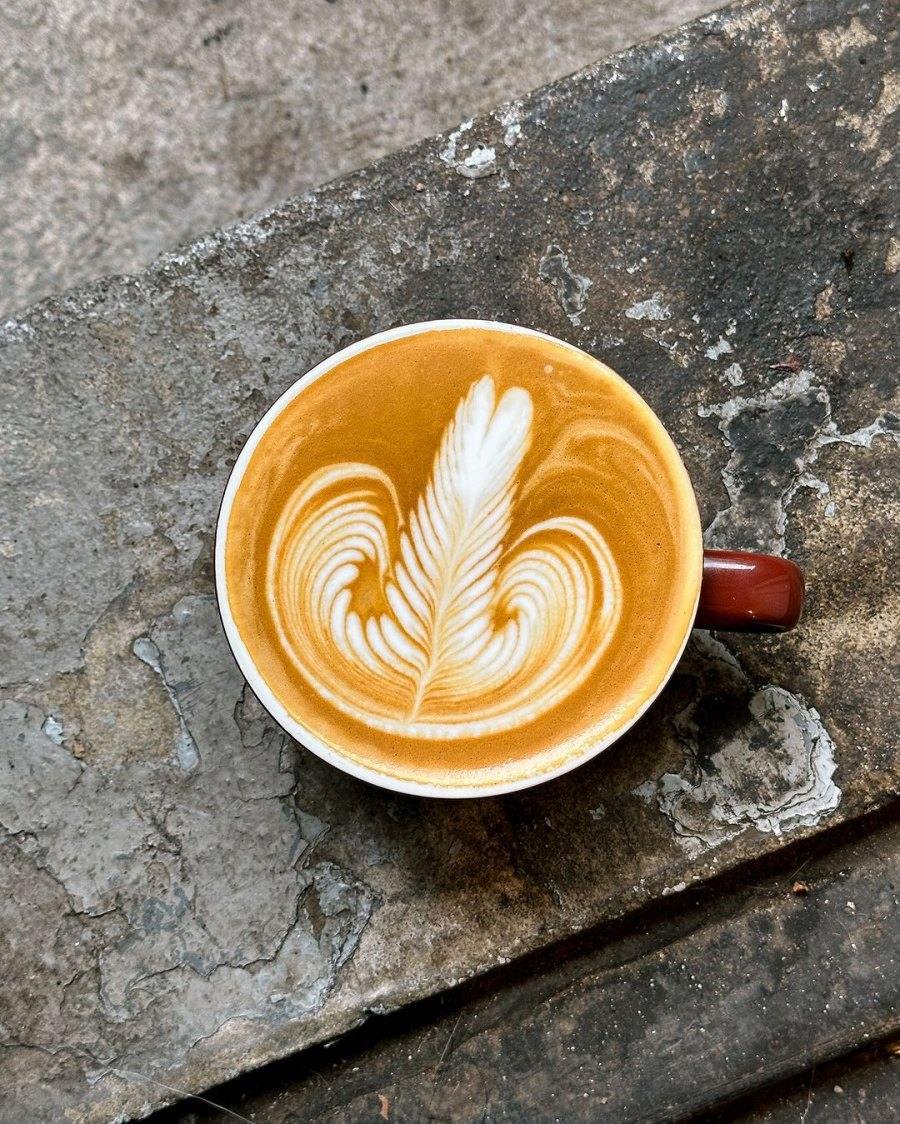 The Best Pumpkin Spice Lattes in Montreal Right Now