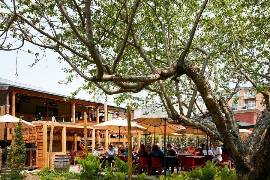 Best Waterfront Patios Montreal