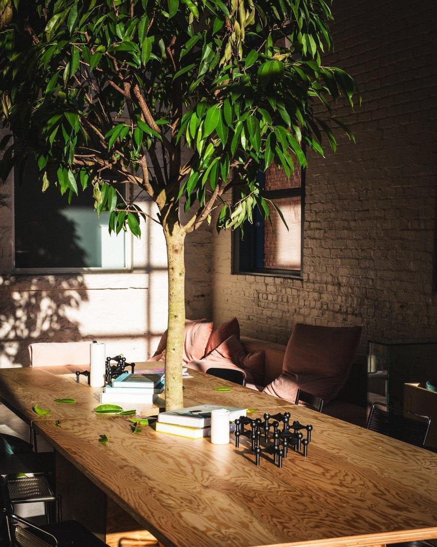 Best cafes to study and work