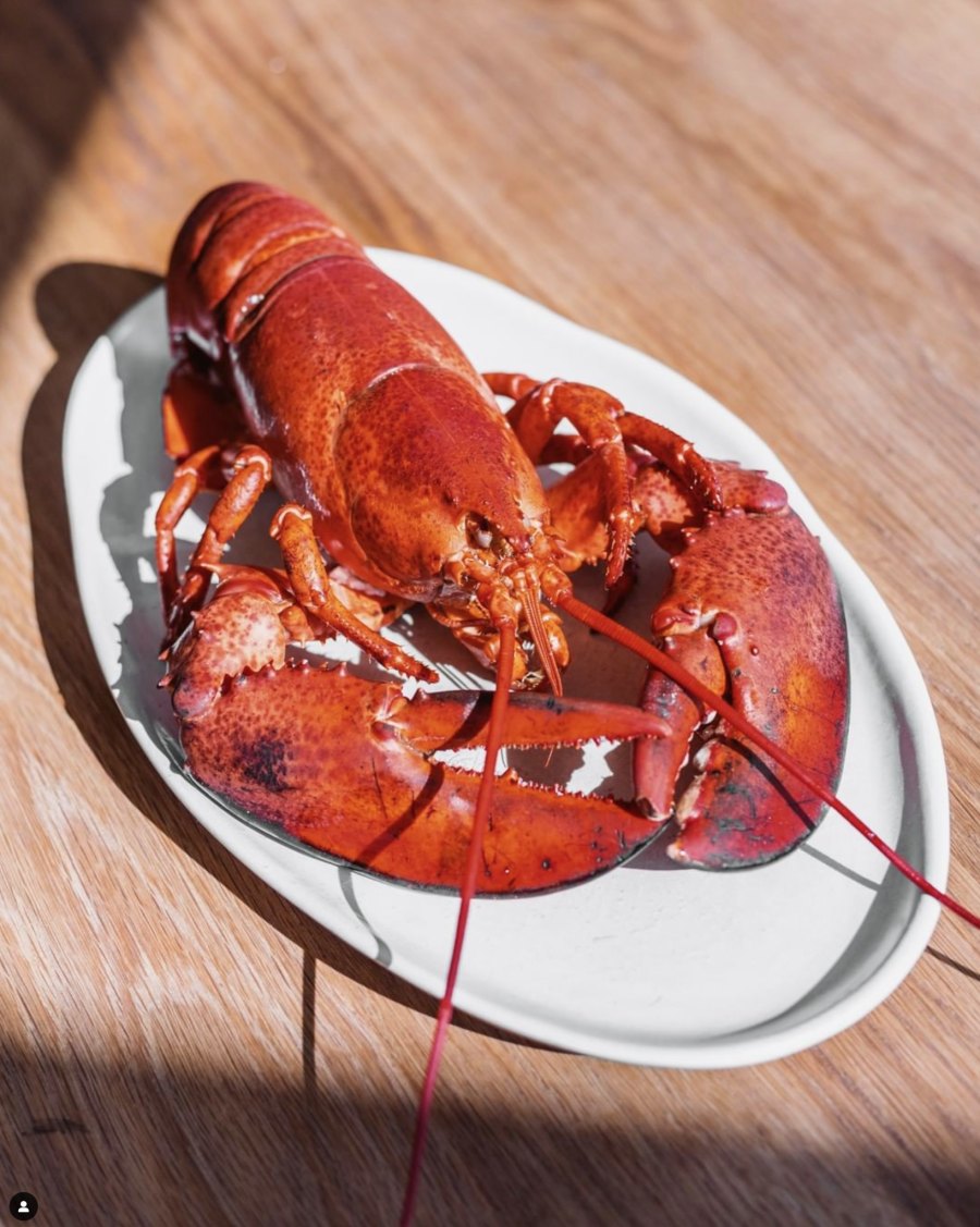 Montreal Best Dishes This Lobster Season