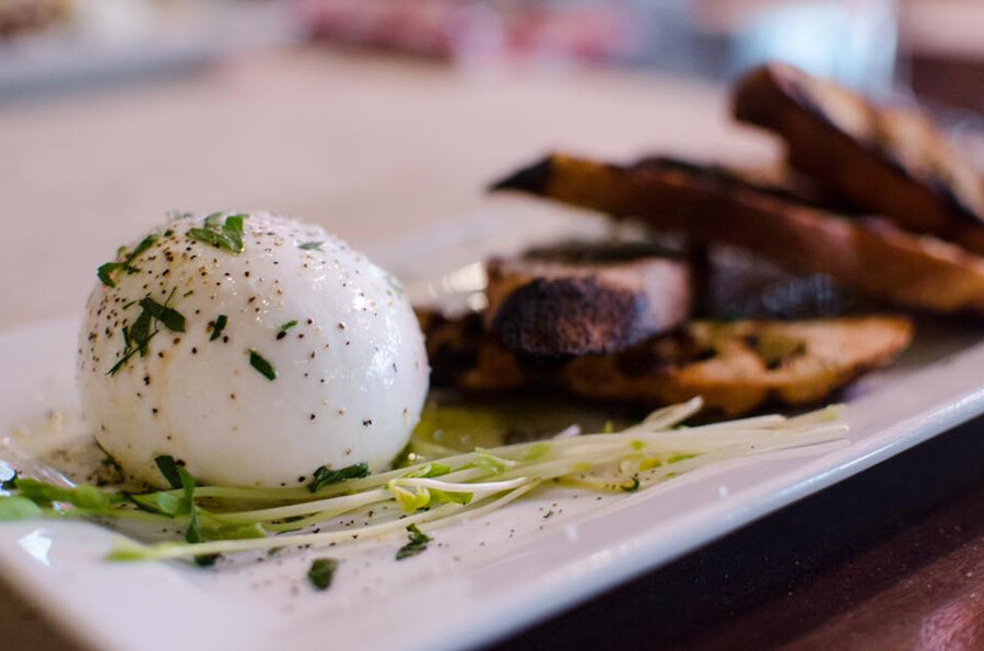 Bevo Pizzeria - Meilleure Burrata à Montréal