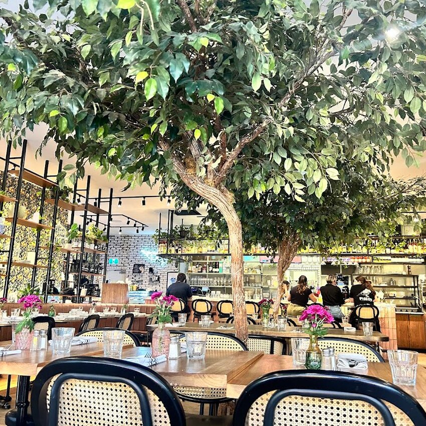 Pigeon Caf&eacute; & Bar - Notre-Dame-de-Gr&acirc;ce (NDG) Breakfast Restaurants