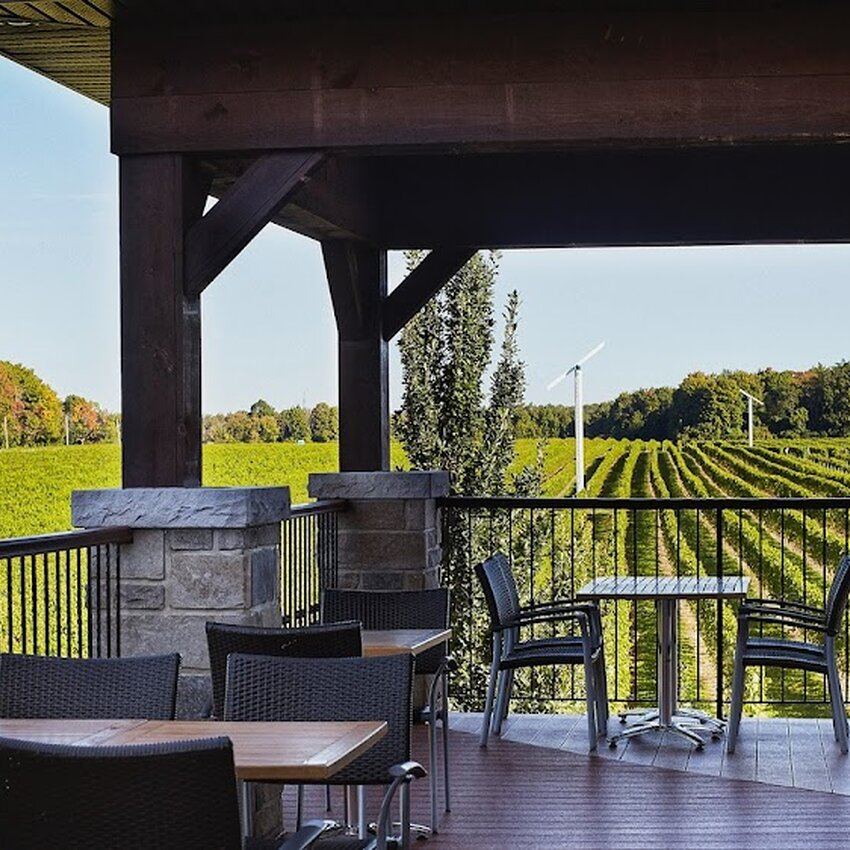 Vignoble Rivi&egrave;re du Ch&ecirc;ne - Restaurants Saint-Eustache - Avis, photos et menus