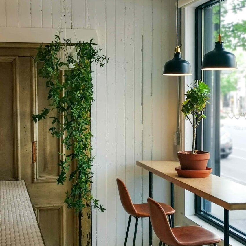 Mollo Caf&eacute; - Gelato - Restaurants Plats &agrave; emporter Pointe St-Charles