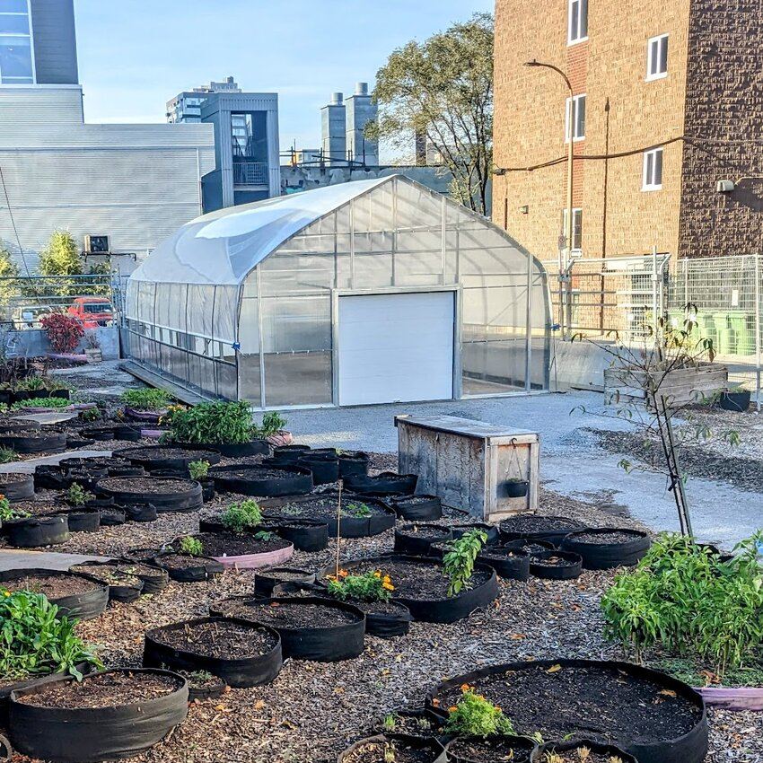 Jardin D'Azur - Downtown Bars - Reviews, Photos & Menus