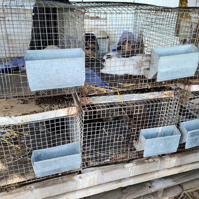 Les Citrouillards - Restaurants Comptoir-Boutique Saint-Eustache - Avis, photos et menus