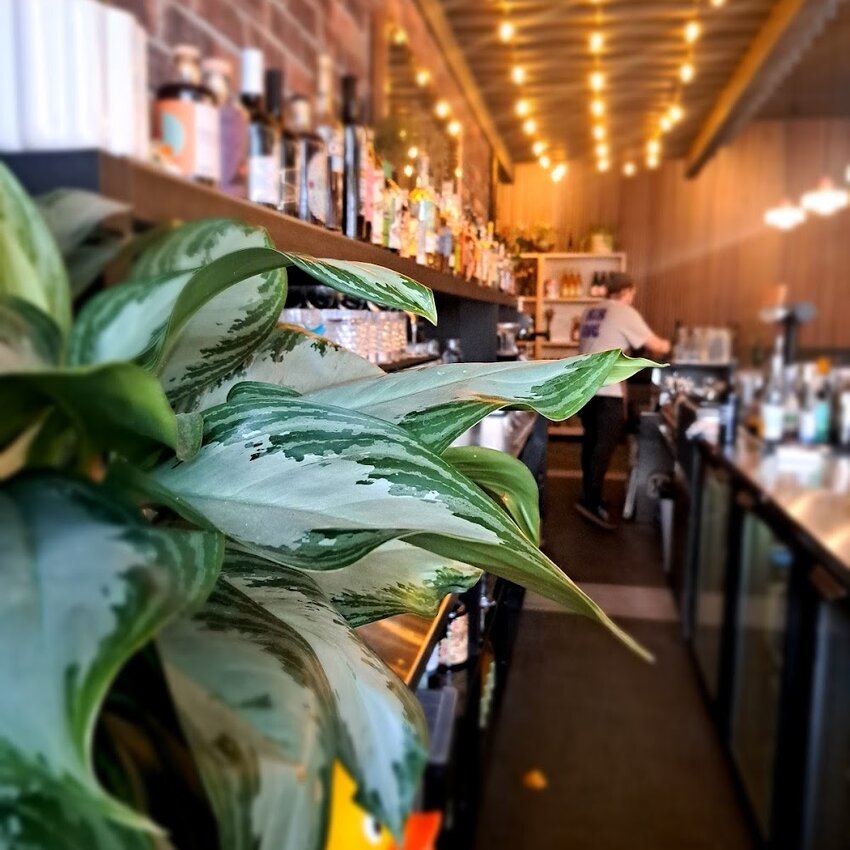 Bibine Buvette -  Restaurants Near: J2C2B9