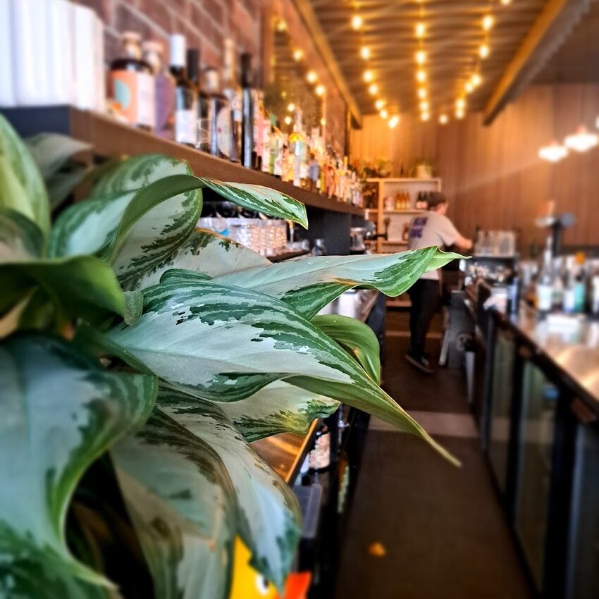 Bibine Buvette -  Restaurants Near: J2B5L8