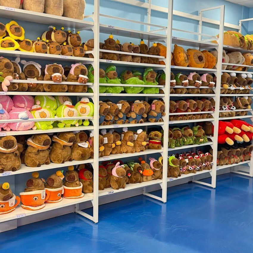 Caf&eacute; Capybara Restaurant Shaughnessy Village, QC