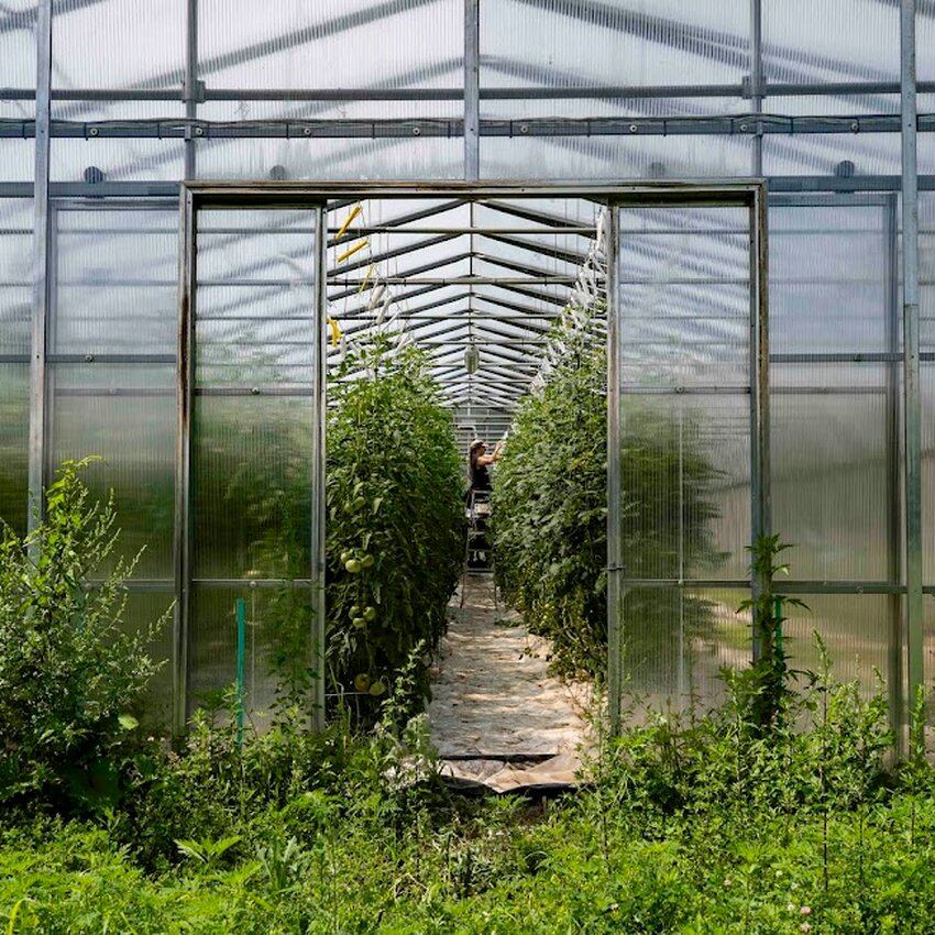 Les Jardins du Monarque Restaurant