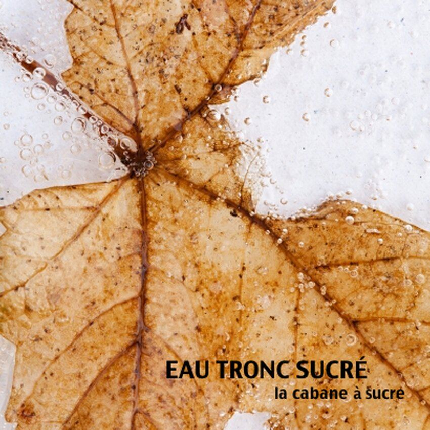 Cabane &agrave; sucre Eau Tronc Sucr&eacute; - Restaurants Mirabel - Avis, photos et menus