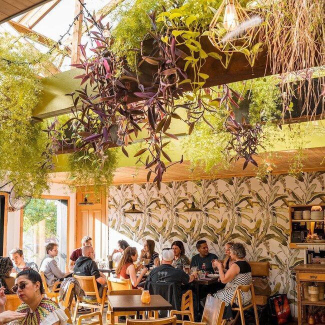 Bar Suzanne Montréal - Menu, avis & plus janvier 2026