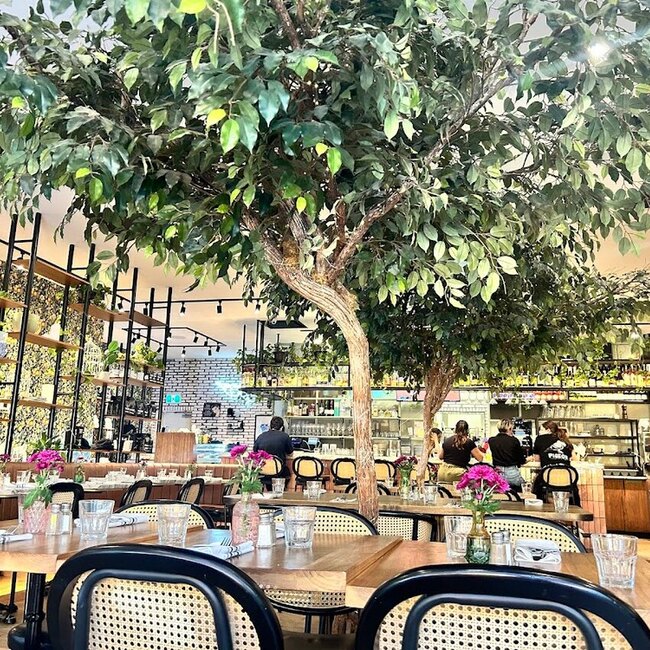 Pigeon Caf&eacute; & Bar - D&eacute;jeuners Notre-Dame-de-Gr&acirc;ce (NDG)