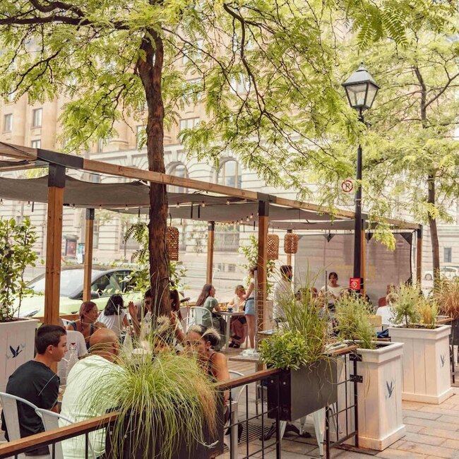 Pubjelly Montréal - Menu, avis & plus décembre 2025