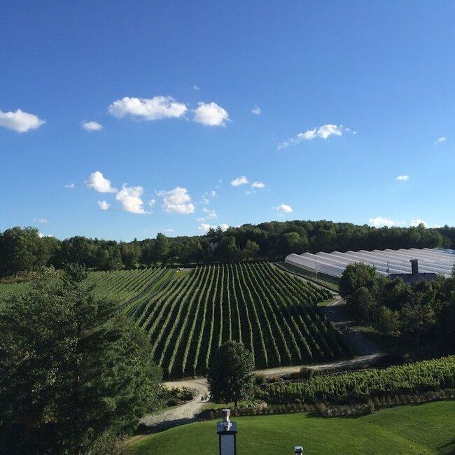 Le Vignoble du Ruisseau - Cabane &agrave; Sucre et distillerie / Bistro sur Braise Restaurant