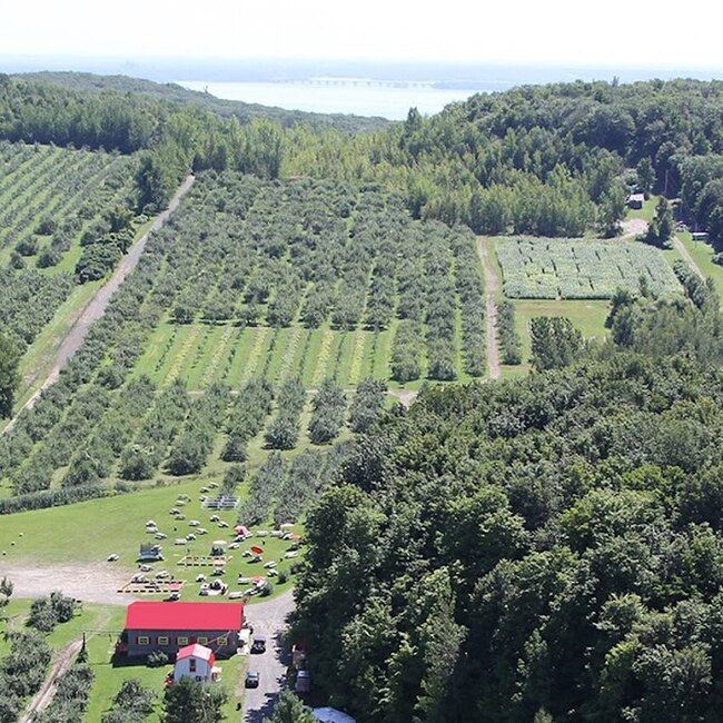 Labonté de la Pomme Restaurant