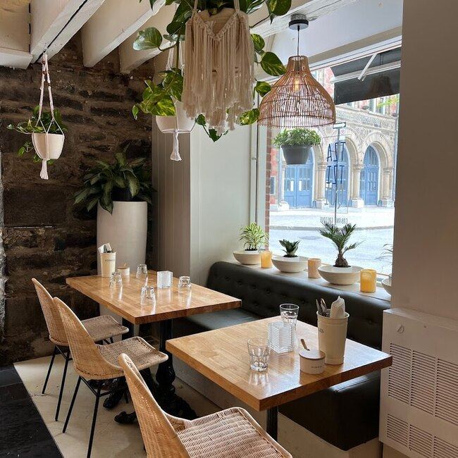 Tzatzi-qui Montréal - Menu, avis & plus janvier 2026