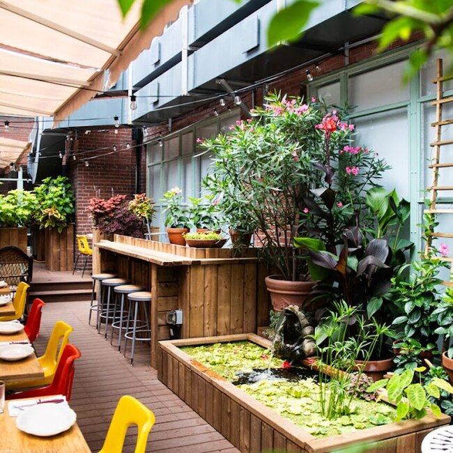 Papito Restaurant Restaurant