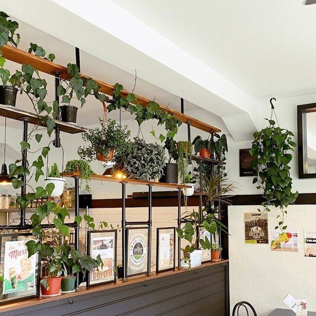 Le Take Out, pr&ecirc;t-&agrave;-manger - Restaurants R&eacute;conforts Rosemont-La Petite-Patrie