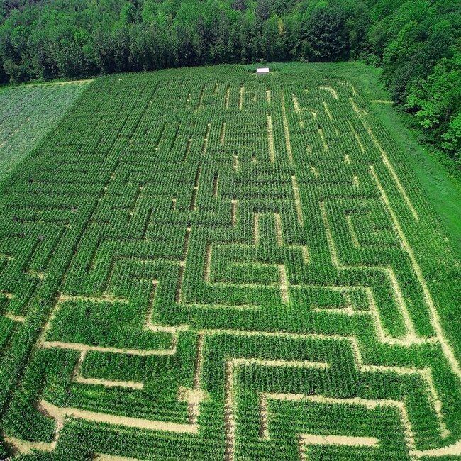 Verger Labonté Notre-Dame-de-l'Île-Perrot - Menu, avis & plus janvier 2026