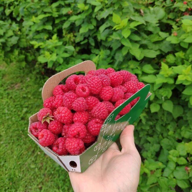 Vergers Pierre Tremblay & Fils - Restaurants Mont-Saint-Gr&eacute;goire