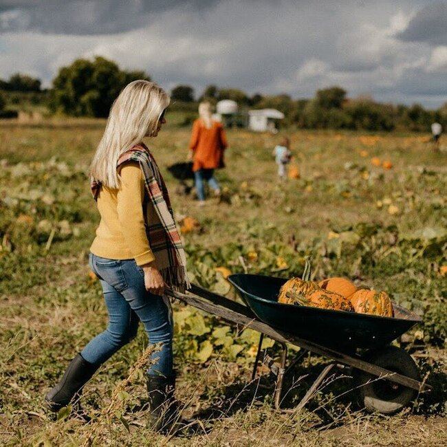 Centre d'Interpretation de la Courge Saint-Joseph-du-Lac - Menu, avis & plus janvier 2026