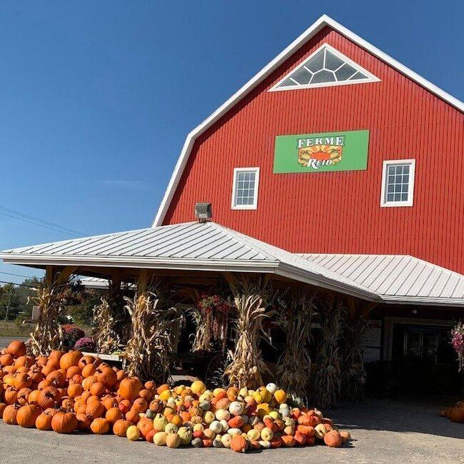 Ferme Reid Saint-Jean-sur-Richelieu - Menu, avis & plus janvier 2026