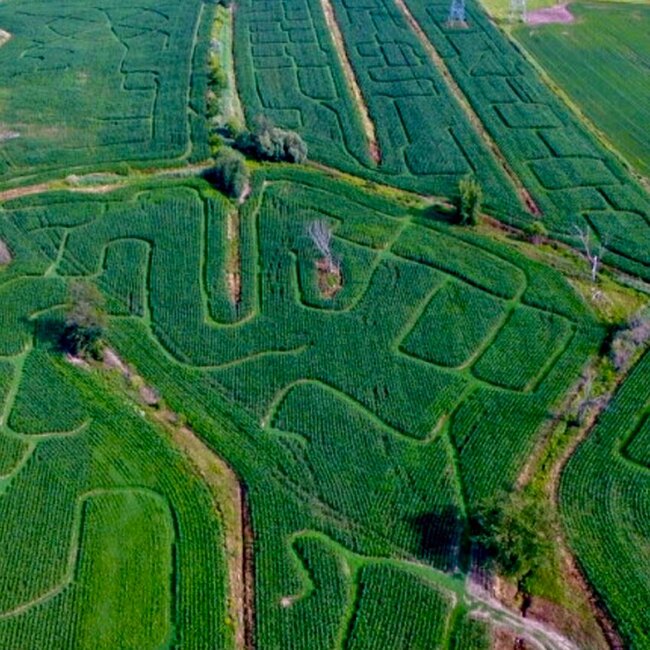 Labyrinthe Galaxie -  Restaurants Near: J4B1P7