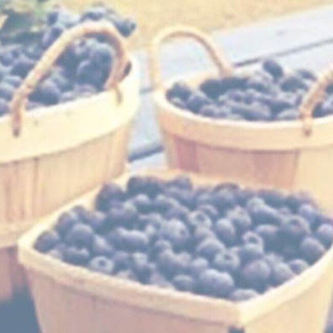 Bleueti&egrave;re Asselin - Contrecoeur Restaurants