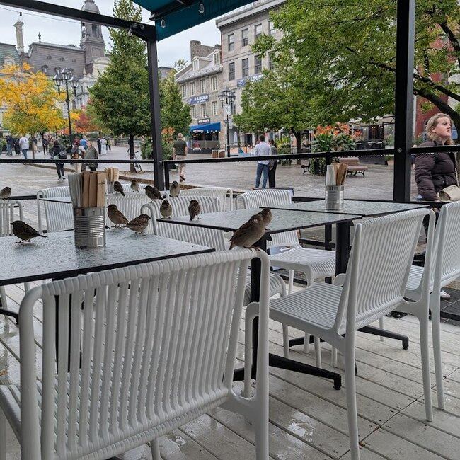 Mona Mediterranean Street Food - Nouveaux restaurants pr&egrave;s de: H3A2A4