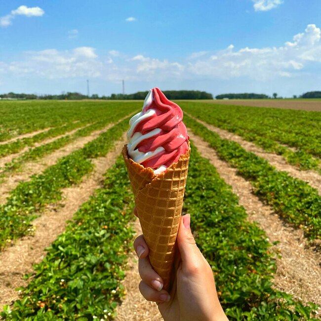 Au Silo Glac&eacute; - Restaurants L'Assomption