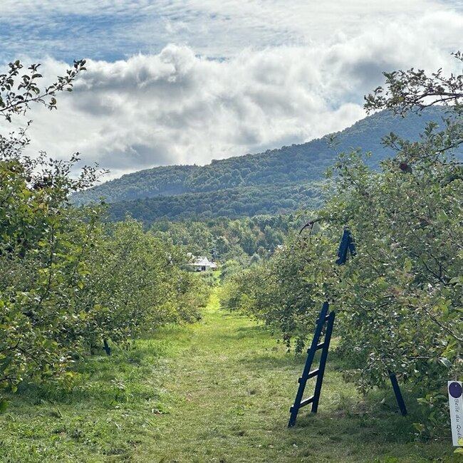 Au Pavillon de la Pomme - Restaurants pr&egrave;s de: J3H6M5