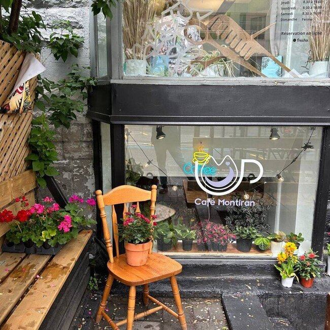 Caf&eacute; Montiran - Caf&eacute;s Le Plateau-Mont-Royal
