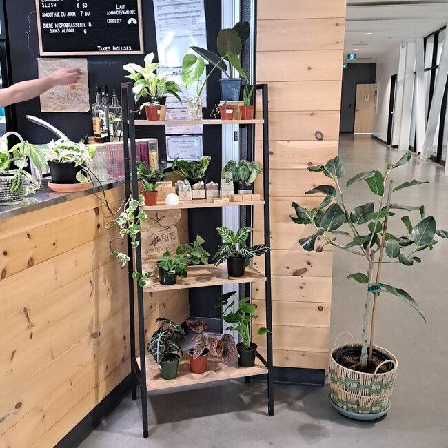 Autant-Go&ucirc;ter - Restaurants pr&egrave;s de: J8B1A7