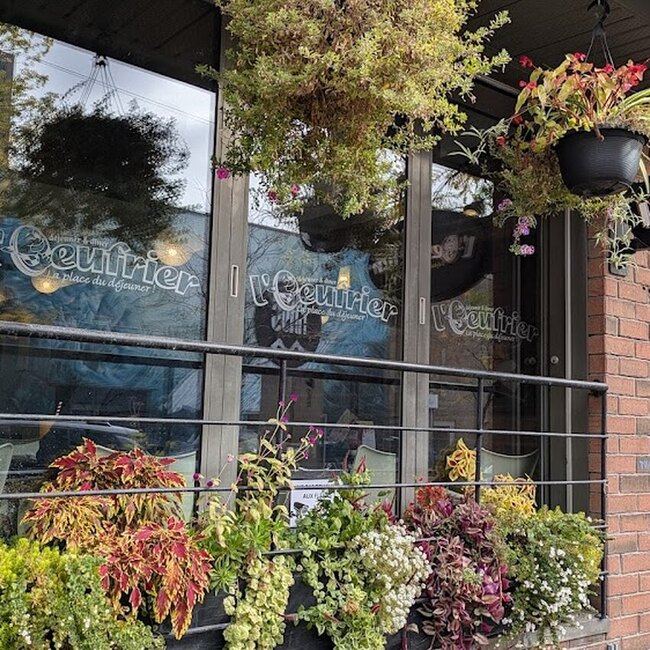 L'Oeufrier Montreal - Menu, Reviews & More January 2026