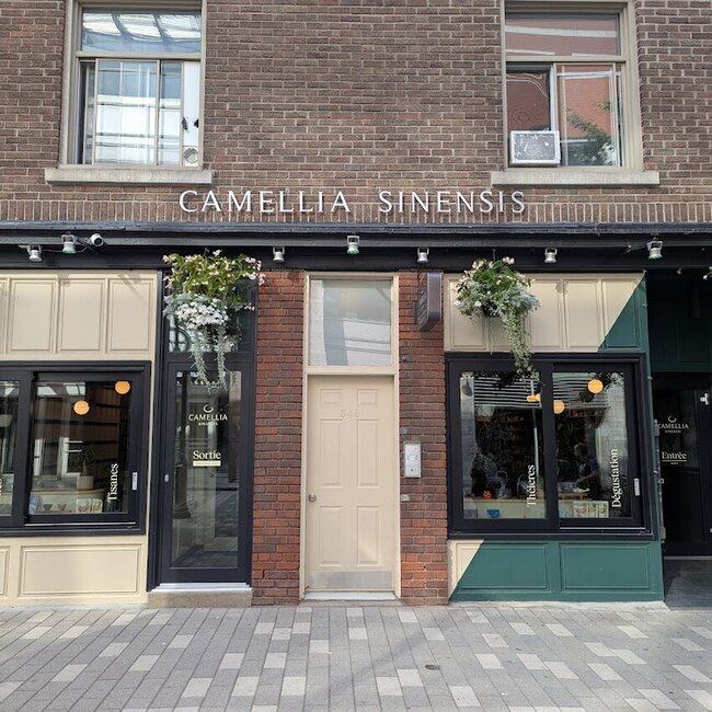 Maison de Th&eacute; Camellia Sinensis - Restaurants Quartier Latin