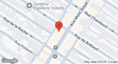 How to get to India Rosa Plateau, Le Plateau-Mont-Royal - Montreal