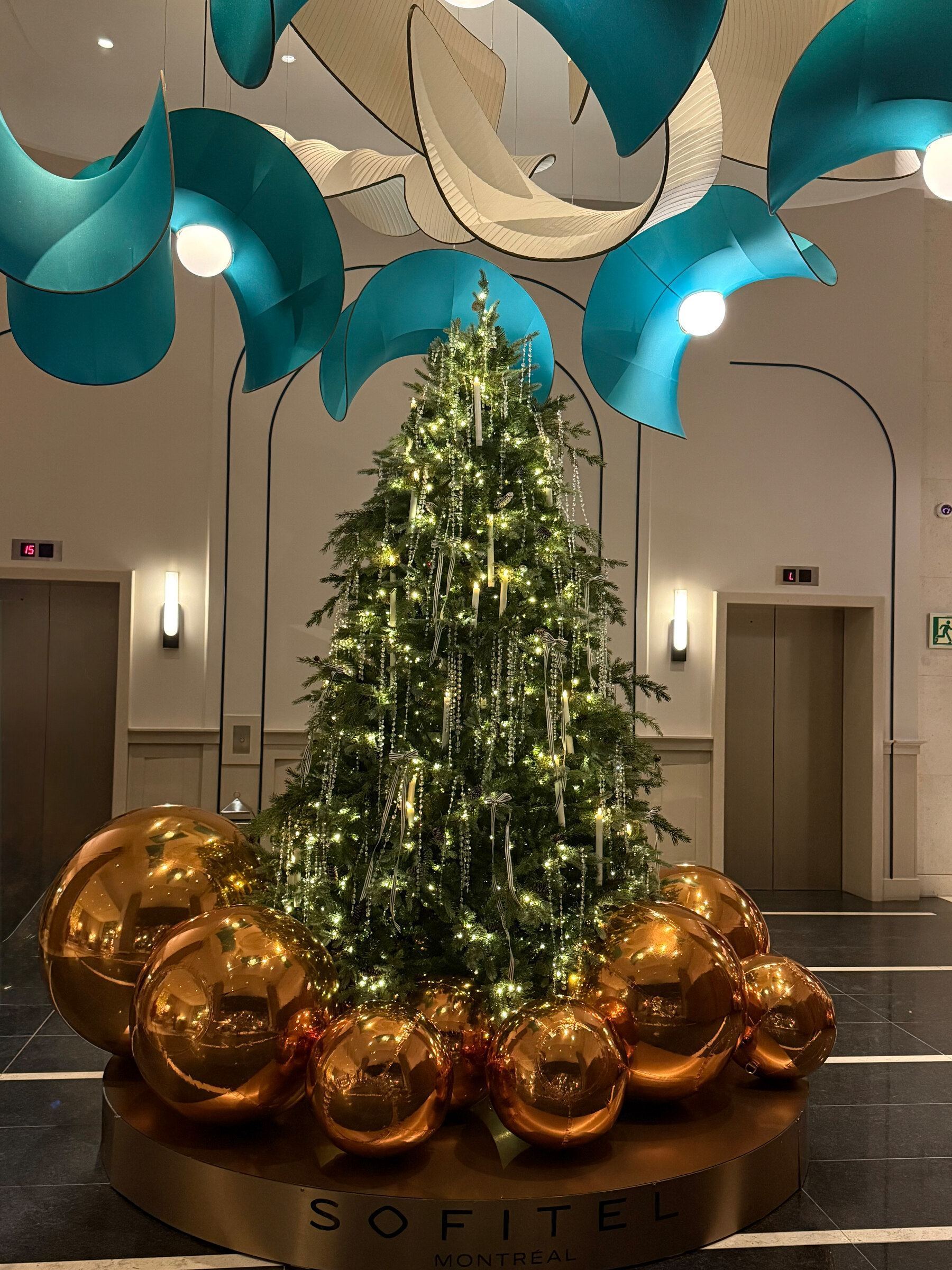 Menus festifs raffinés au RENOIR