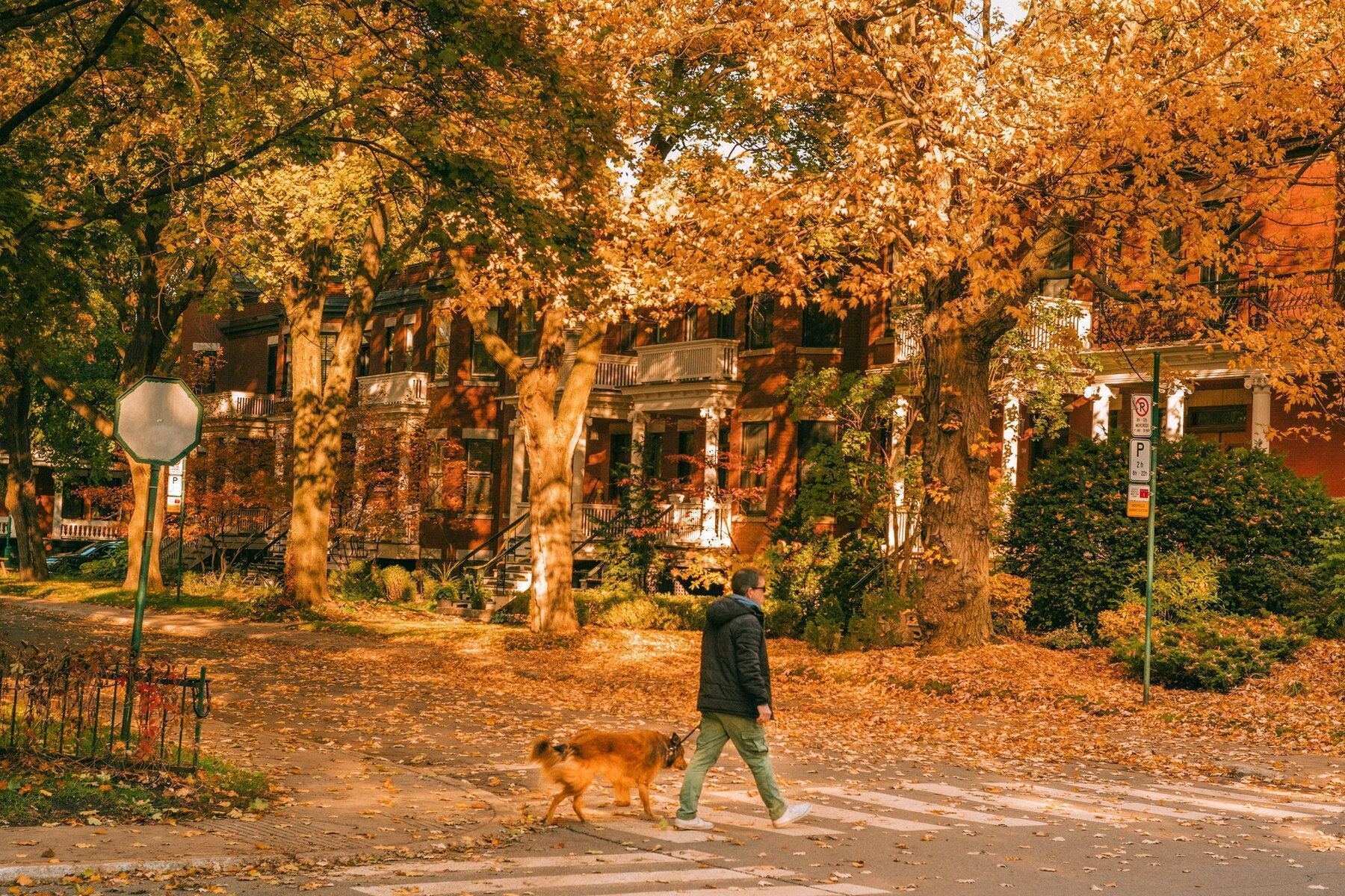 Our Outremont Food Guide: Where to Eat, Drink, and Grab a Sweet Treat