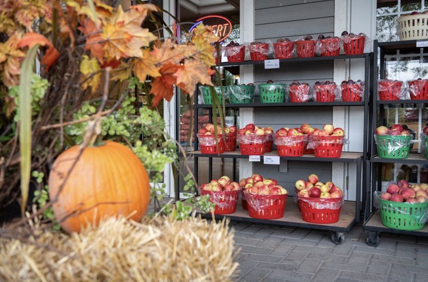 Haunted Trail at Verger Denis Charbonneau - Event