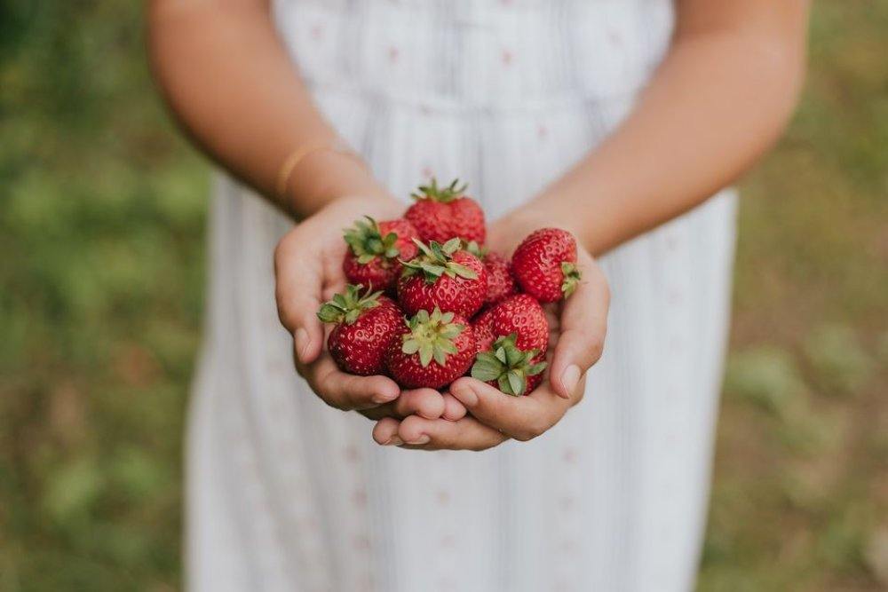 La deuxième édition des Festifraîches - événement
