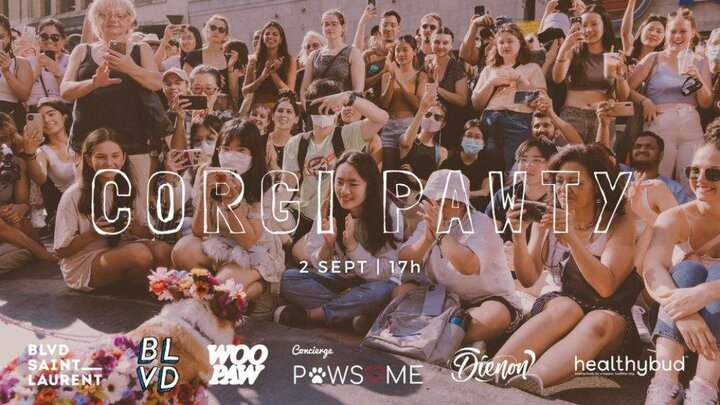 Corgi Pawty: Le plus grand rassemblement de corgi de Montréal revient!