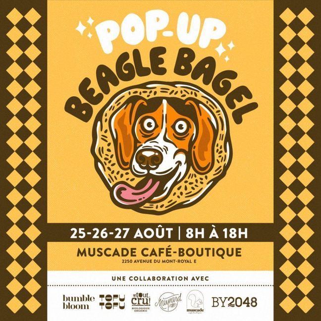 Beagle Bagel Pop-Up